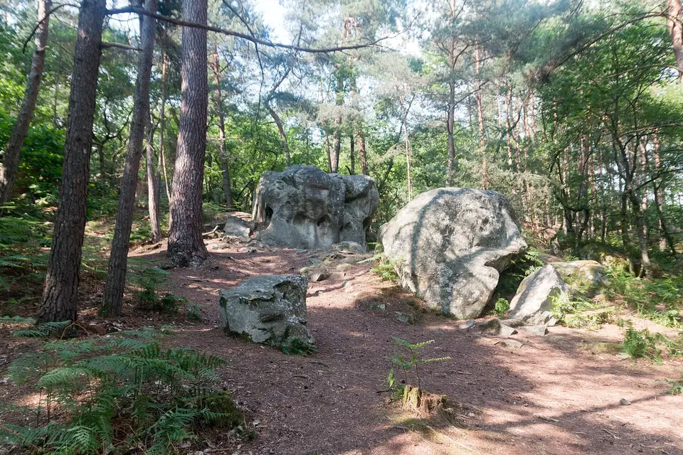 Barbizon en het bos van Fontainebleau, Parijs