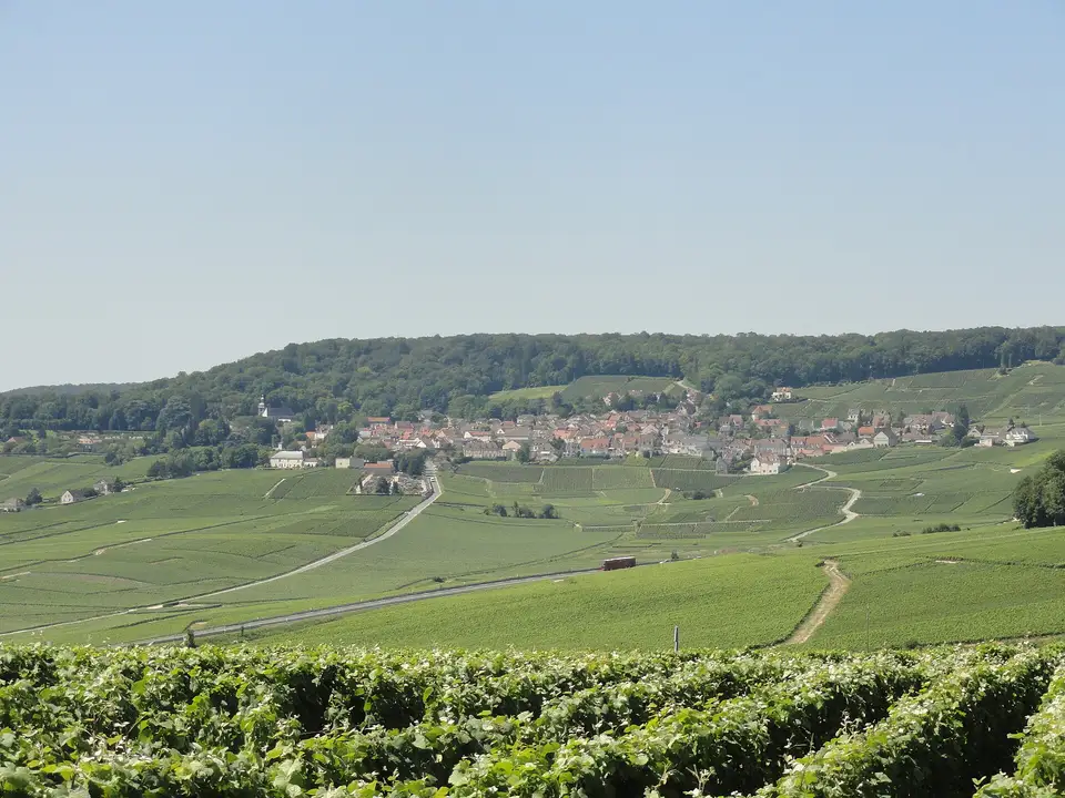 Hautvillers en Épernay (Champagne), Parijs